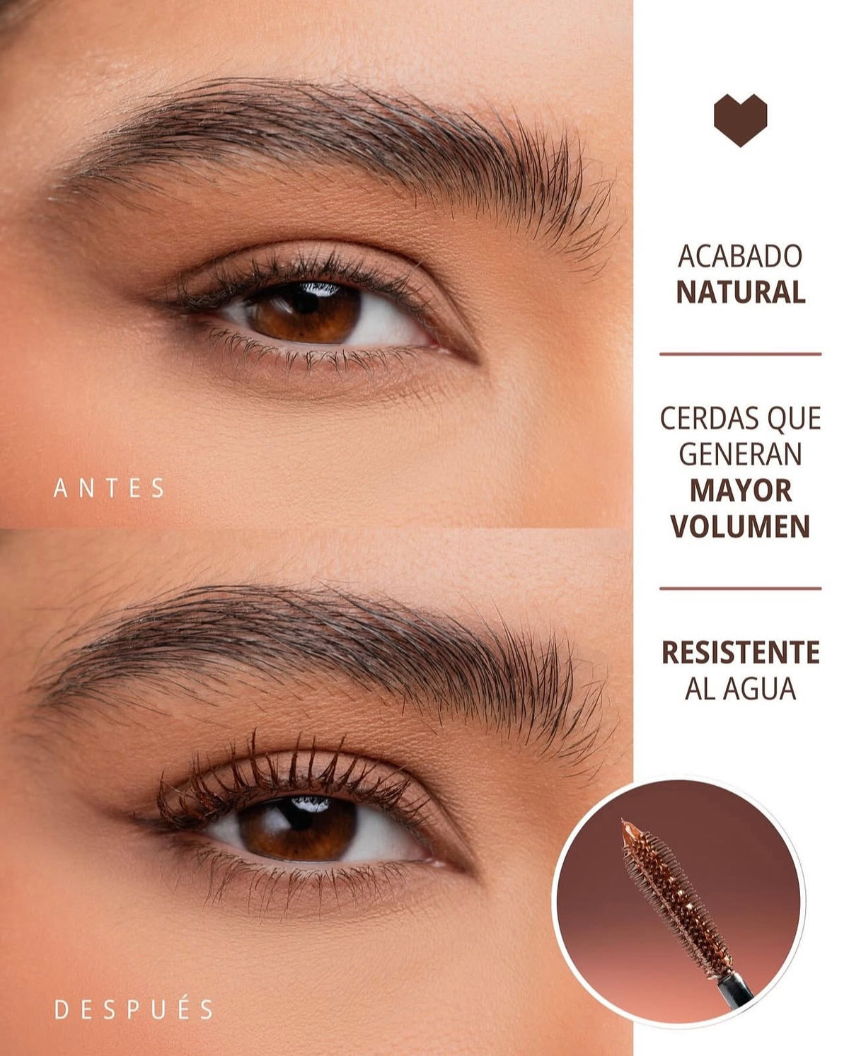 Pestañina Ani-k Brow Paradise