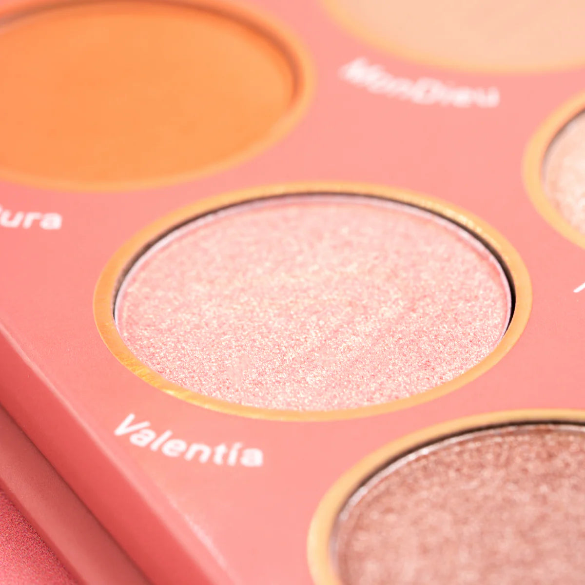 Paleta Atenea Rose Sombras 12 Colores